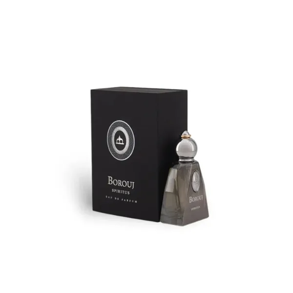 Buy Dumont Dumont Borouj Spiritus EDP 85ml For Men & Women Online India Online in India - Original Men's Perfume